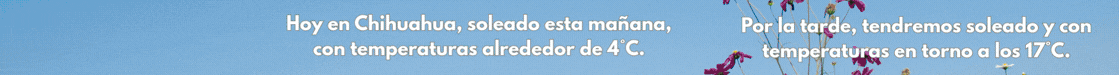 BANNER NOTICIAS AL DIA