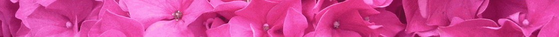 BANNER NOTICIAS AL DIA