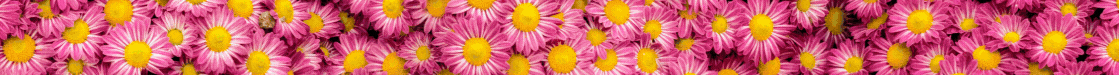 BANNER NOTICIAS AL DIA