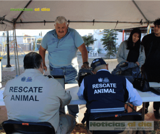 LLEVA MUNICIPIO SERVICIOS GRATUITOS A LA COLONIA INSURGENTES PARA CUIDAR LA SALUD DE PERROS Y GATOS