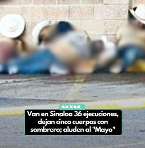 VAN EN SINALOA 36 EJECUCIONES