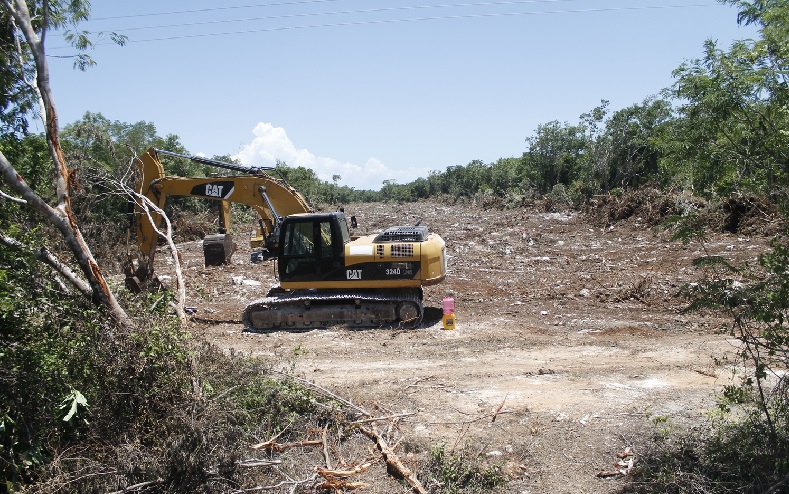 TALAN OTRAS 219 HECTÁREAS POR TREN MAYA