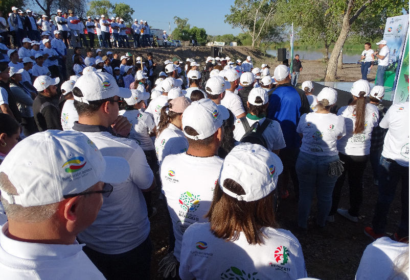 PRESERVAN FLORA Y FAUNA EN EL HUMEDAL DEL RÍO SAN PEDRO CON PLANTACIÓN DE 1,000 ÁRBOLES EN EL VADO DE MEOQUI