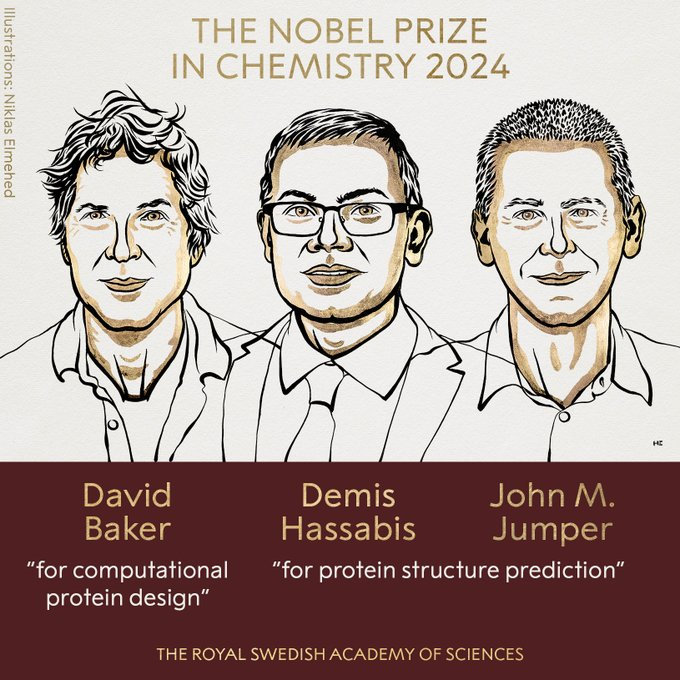 PREMIO NOBEL DE QUÍMICA 2024 PARA BAKER, HASSABIS Y JUMPER POR EL DISEÑO COMPUTACIONAL DE PROTEÍNAS Y PREDICCIÓN DE SU ESTRUCTURA