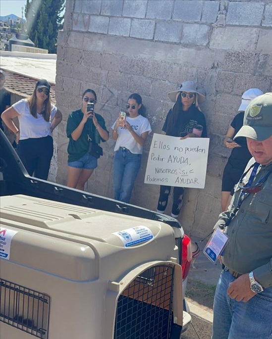 ATIENDE GOBIERNO MUNICIPAL DENUNCIA DE MALTRATO ANIMAL Y RESCATA A 2 PERRITOS EN LA COLONIA ARBOLEDAS