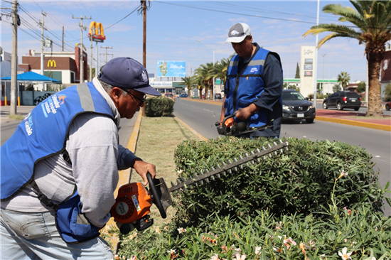 FINALIZAN GOBIERNO MUNICIPAL TRABAJOS DE PODA EN EL BOULEVARD ORTIZ MENA