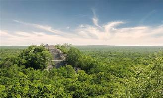 EN MEDIO DEL BOSQUE DE CAMPECHE SE HALLÓ UNA ENORME CIUDAD ANTIGUA MAYA