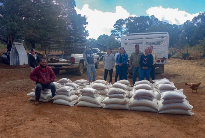 FORTALECEN SEGURIDAD ALIMENTARIA DE 40 FAMILIAS DE COMUNIDADES INDÍGENAS EN MADERA