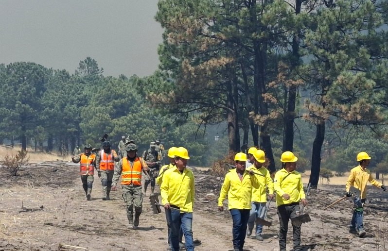 CONTROLADO AL 65 POR CIENTO INCENDIO FORESTAL EN BALLEZA