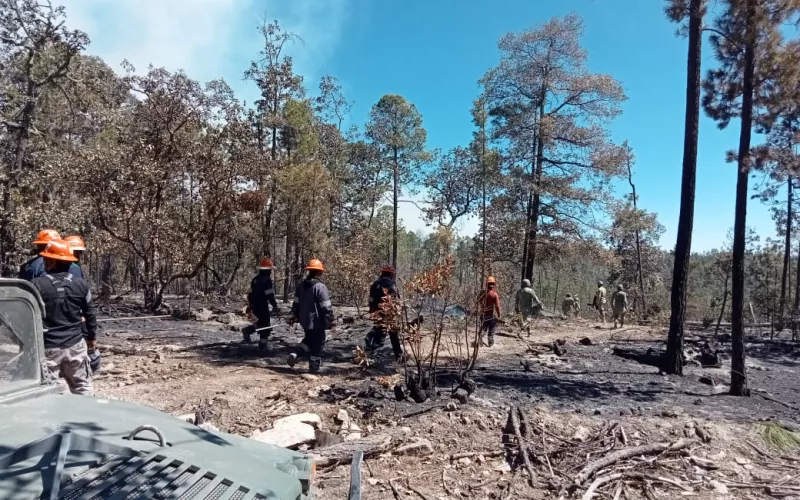 ATIENDEN BRIGADAS 13 INCENDIOS ACTIVOS EN EL ESTADO