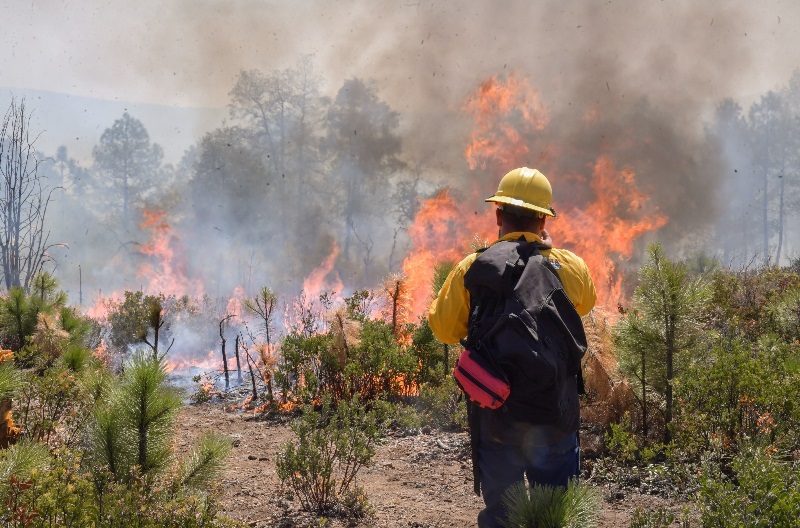 AUTORIDADES ESTATALES Y FEDERALES ACUERDAN EN MESA DE SEGURIDAD MANTENER COORDINACIÓN EN COMBATE DE INCENDIOS FORESTALES