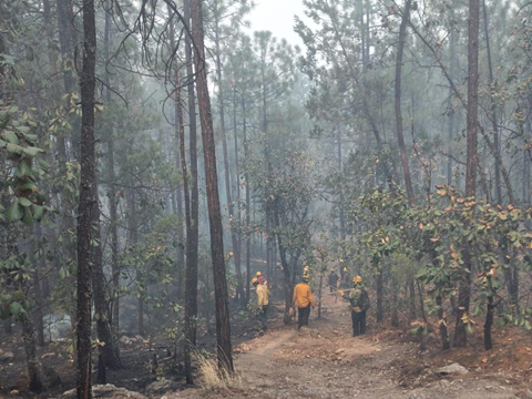 TRABAJAN 211 COMBATIENTES PARA ABATIR LOS 11 INCENDIOS ACTIVOS EN LA ENTIDAD: SDR