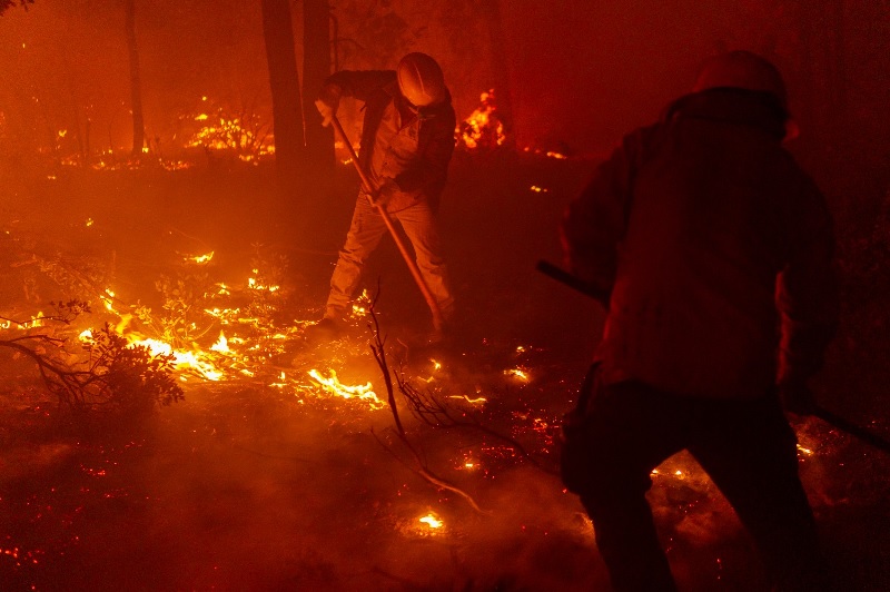COORDINA SDR MÁS DE 200 COMBATIENTES PARA LA ATENCIÓN DE INCENDIOS FORESTALES EN EL ESTADO