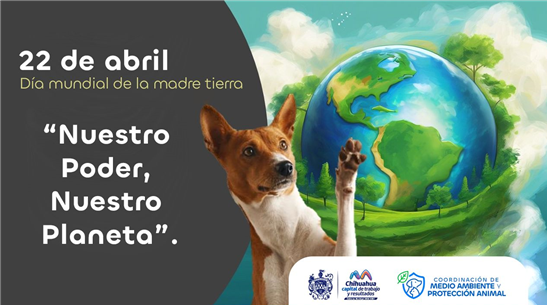 COMPARTE MUNICIPIO RECOMENDACIONES PARA CUIDAR EL MEDIO AMBIENTE DESDE TU HOGAR