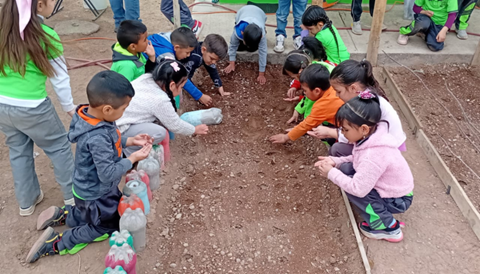 HUERTOS ESCOLARES: UNA INVERSIÓN QUE GERMINA EN EL CORAZÓN DE LA NIÑEZ
