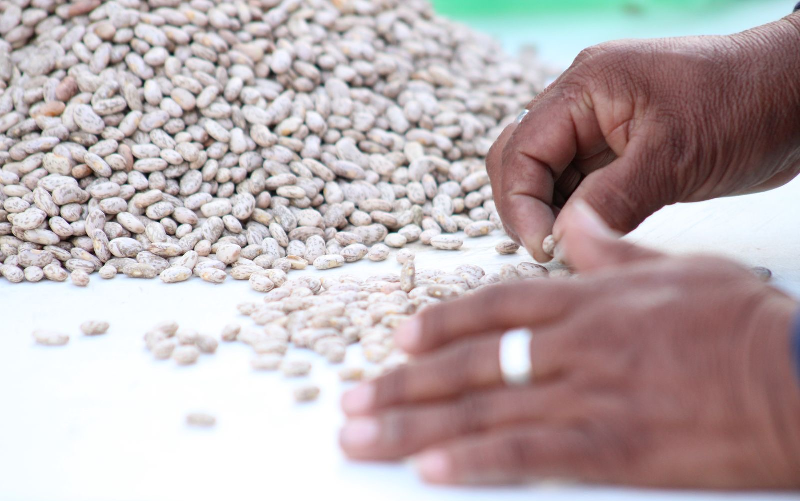 IMPULSA SDR EL CRECIMIENTO AGROINDUSTRIAL CON APOYO DIRECTO A MUNICIPIOS O EMPRESAS