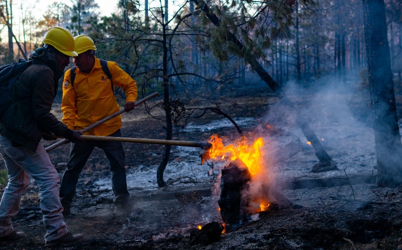 REPORTA SDR 13 INCENDIOS ACTIVOS EN EL ESTADO