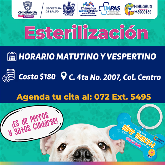 OFRECE IMPAS SERVICIO DE ESTERILIZACIÓN A MASCOTAS EN SUS INSTALACIONES UBICADAS EN LA CALLE CUARTA