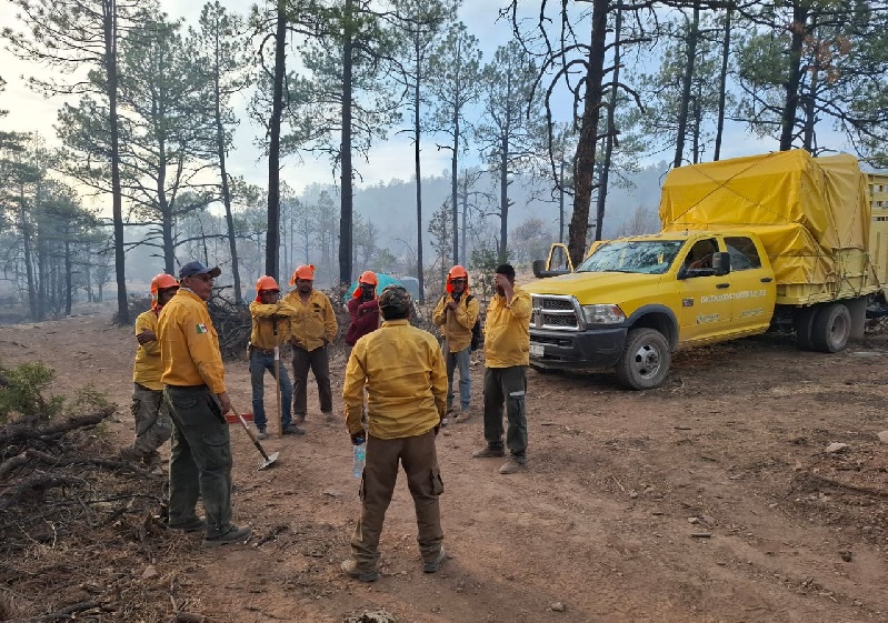 REPORTA SDR 11 INCENDIOS FORESTALES ACTIVOS EN EL ESTADO