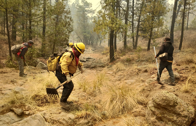 ATIENDE DESARROLLO RURAL SOLICITUD DE APOYO PARA COMBATIR INCENDIO FORESTAL EN EL MUNICIPIO DE MADERA