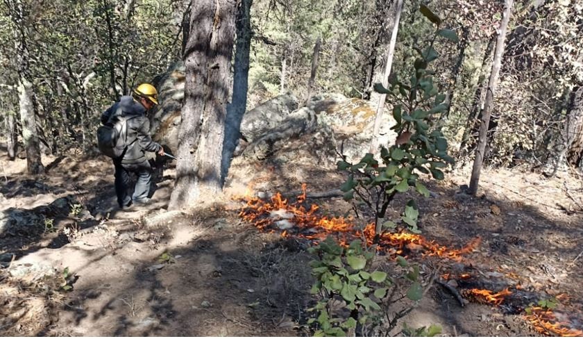 BRIGADISTAS HAN APAGADO 388 INCENDIOS EN LO QUE VA DEL AÑO