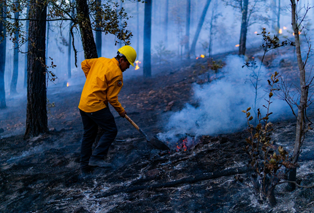 LIQUIDAN INCENDIOS EN GUADALUPE Y CALVO, URIQUE Y BATOPILAS