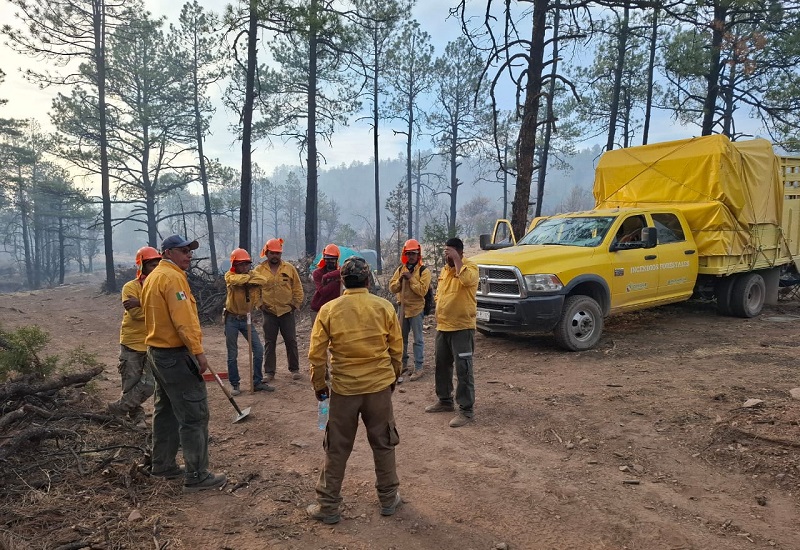 SUMAN 530 INCENDIOS FORESTALES LIQUIDADOS EN LO QUE VA DEL AÑO