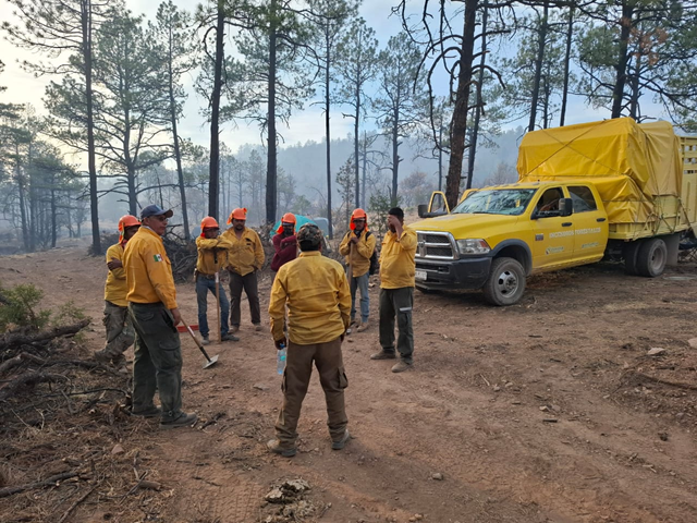 SUMAN 530 INCENDIOS FORESTALES LIQUIDADOS EN LO QUE VA DEL AÑO