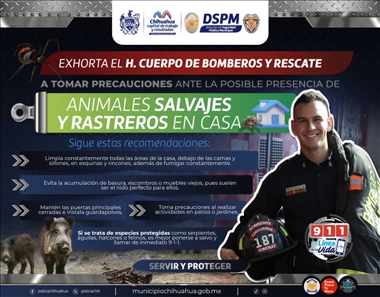 PIDEN BOMBEROS TOMAR PRECAUCIONES CON ANIMALES SILVESTRES Y RASTREROS QUE APARECEN CON LAS PRIMEAS LLUVIAS