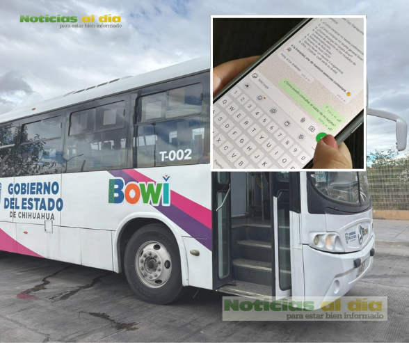PONE A DISPOSICIÓN BOWÍ LÍNEA DE ATENCIÓN POR WHATSAPP