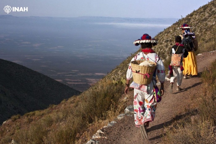 LA RUTA WIXÁRIKA POR LOS SITIOS SAGRADOS A WIRIKUTA ES INSCRITA EN LA LISTA DE PATRIMONIO MUNDIAL DE LA UNESCO