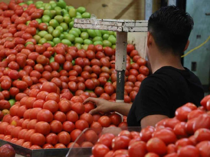 POR LOS ARANCELES LOS PRECIOS DEL TOMATE PODRÍAN AUMENTAR A PARTIR DEL LUNES EN EU