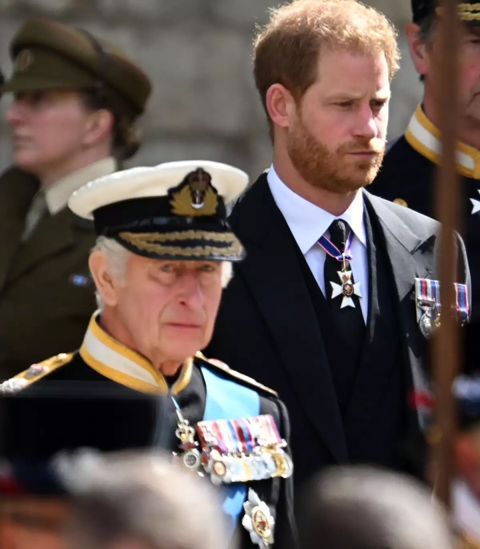 TRAS AÑOS ALEJADOS, EL REY CARLOS Y HARRY  PODRIAN EXPLORAR UNA POSIBLE RECONCILIACIÓN FAMILIAR.