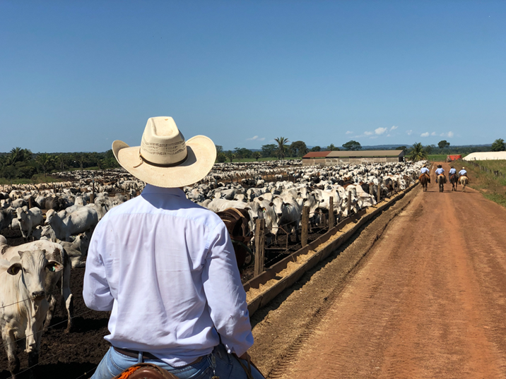 CIERRA CONVOCATORIA DE APOYO PARA SERVICIOS DE CAPACITACIÓN Y ASISTENCIA TÉCNICA A PRODUCTORES DE GANADO BOVINO