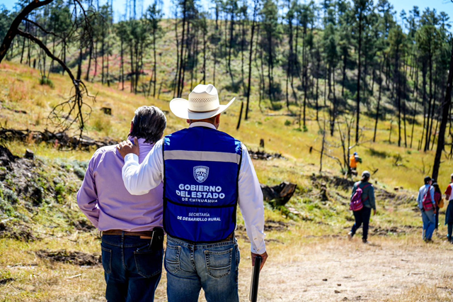 GOBIERNO DEL ESTADO Y SÚPER COPA ROSHFRANS SE UNEN EN JORNADA DE REFORESTACIÓN EN CUMBRES DE MAJALCA