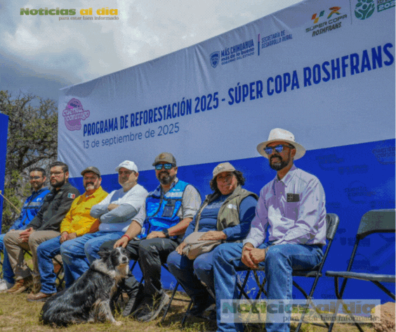 PLANTAN MÁS DE 4 MIL ÁRBOLES EN EL PARQUE NACIONAL CUMBRES DE MAJALCA DURANTE JORNADA DE REFORESTACIÓN MASIVA