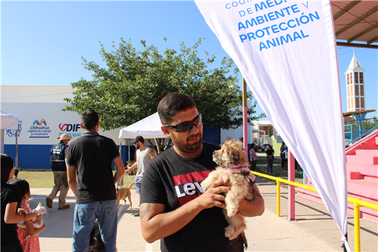 BRINDARÁ GOBIERNO MUNICIPAL SERVICIOS GRATUITOS PARA MASCOTAS EN PUNTA ORIENTE