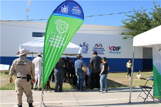 BRINDARÁ MUNICIPIO SERVICIOS GRATUITOS PARA PERROS Y GATOS EN COLONIA INSURGENTES