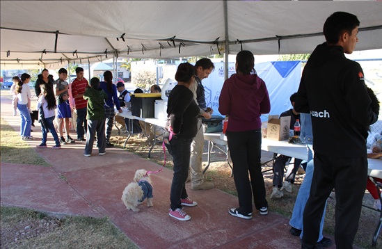 LLEVA MUNICIPIO SERVICIOS GRATUITOS A LA COLONIA INSURGENTES PARA CUIDAR LA SALUD DE PERROS Y GATOS
