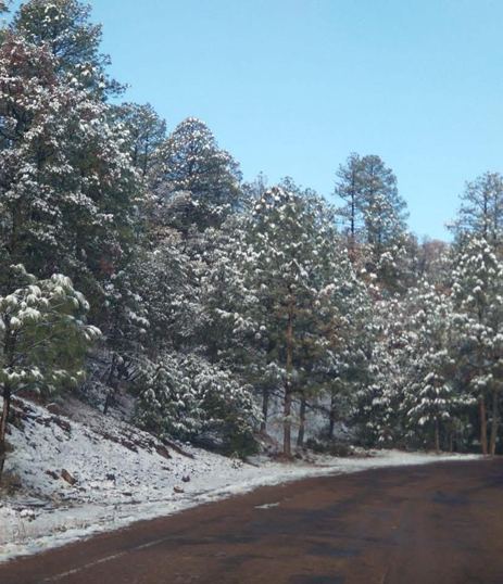 PREVALECE AMBIENTE FRÍO Y PRONÓSTICO DE LLUVIAS PARA ESTE FIN DE SEMANA: CEPC