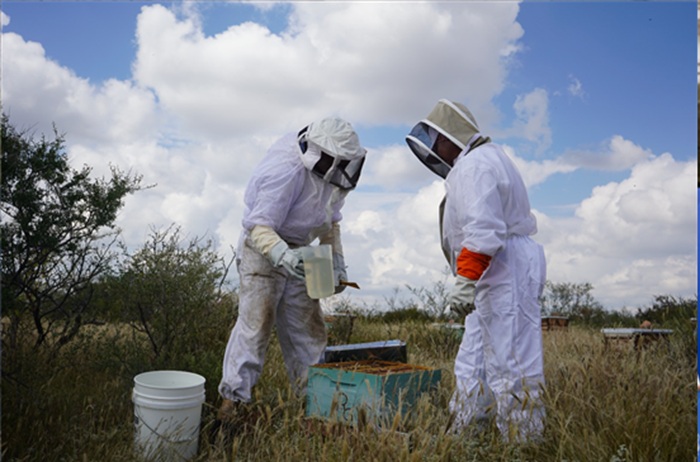 INVITA MUNICIPIO A APICULTORES DE LA ZONA RURAL A PROGRAMA PARA ADQUIRIR SACOS DE AZÚCAR