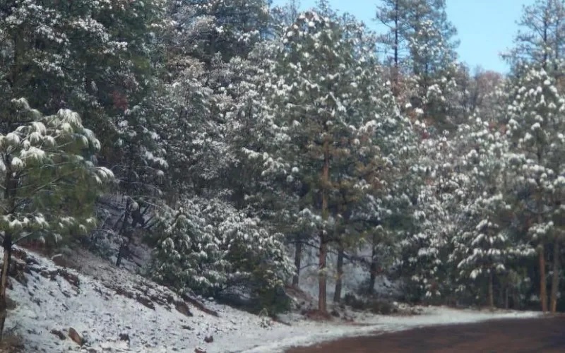 PREVALECE AMBIENTE FRÍO Y PRONÓSTICO DE LLUVIAS PARA ESTE FIN DE SEMANA: CEPC