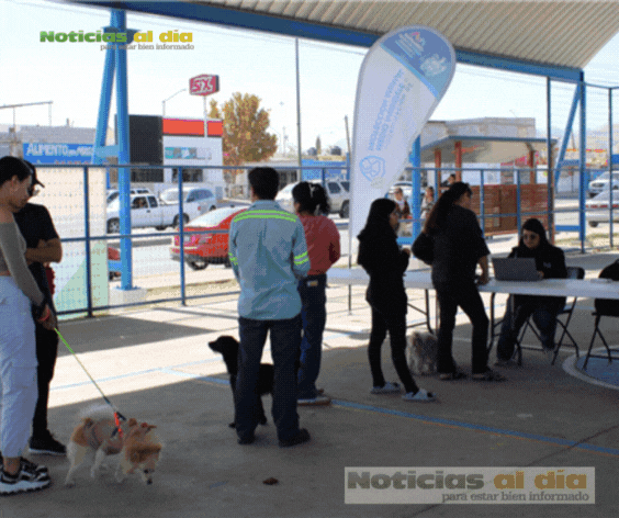 ACERCA MUNICIPIO SERVICIOS GRATUITOS PARA ANIMALES DE COMPAÑÍA A FAMILIAS DE RIBERAS DE SACRAMENTO