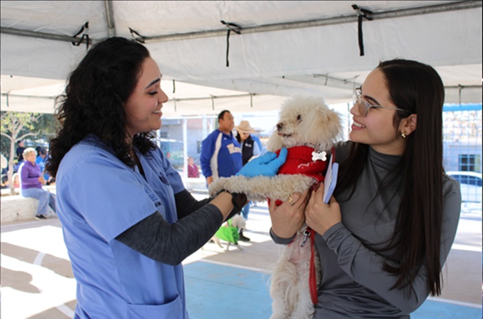 ACERCA MUNICIPIO SERVICIOS GRATUITOS PARA ANIMALES DE COMPAÑÍA EN COLONIA CERRO DE LA CRUZ