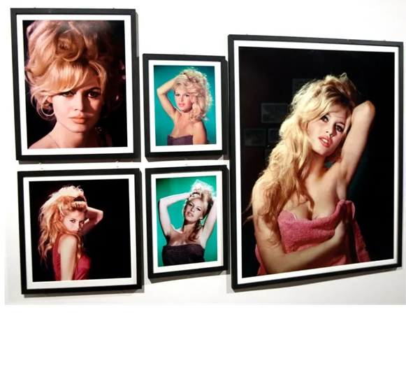 ADIÓS A BRIGITTE BARDOT: ¿A CUÁNTO ASCIENDE LA FORTUNA DE LA ESTRELLA FRANCESA?