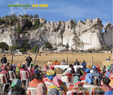 DISTRIBUYE ESTADO MÁS DE 2 MIL TONELADAS DE GRANO DURANTE 2025 EN LA SIERRA TARAHUMARA