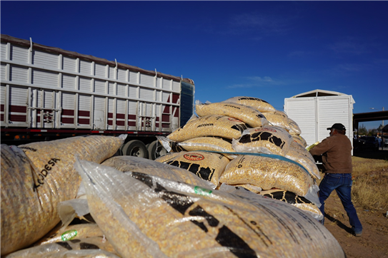 DESTINARÁ MUNICIPIO MÁS DE 40 MILLONES DE PESOS PARA EQUIPAMIENTO Y OBRAS EN ZONA RURAL