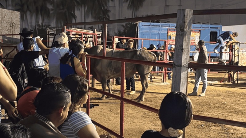 ARMAN FERIA Y JARIPEO EN HOSPITAL ISSSTE DE ACAPULCO