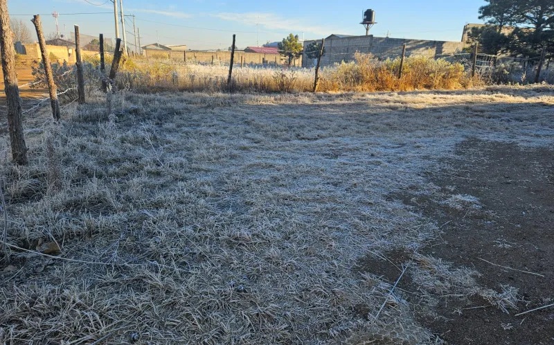 REGISTRA CEPC HELADAS EN GRAN PARTE DEL ESTADO