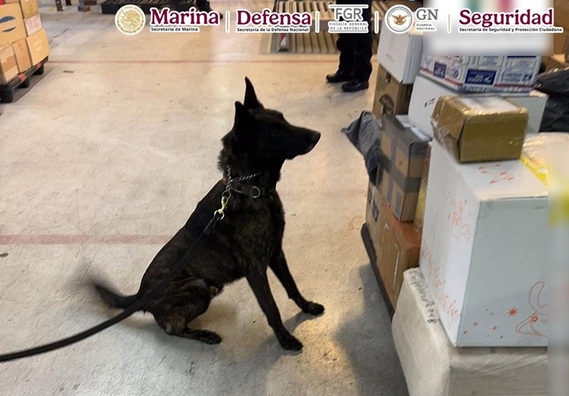 CUERPOS DE SEGURIDAD ASEGURARON EN EL AICM UN PAQUETE CON APROXIMADAMENTE UN KILO DE FENTANILO PROVENIENTE DE UN PAÍS ASIÁTICO